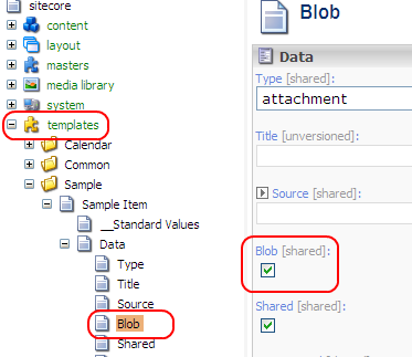 /upload/sdn5/reference/field reference/standard data types/blob checkbox.png